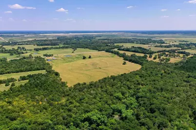 Tbd Hwy 34, Ladonia, TX 75449 - Photo 5