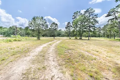 3126 Shadow Pine Drive, LaRue, TX 75770 - Photo 11