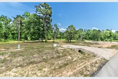 3126 Shadow Pine Drive, LaRue, TX 75770 - Photo 3