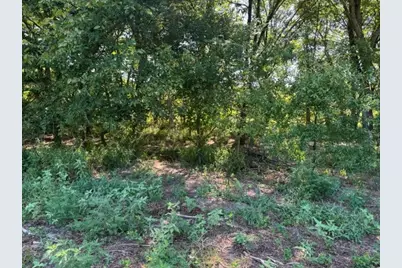 Tbd County Rd. 1300, Emory, TX 75440 - Photo 5