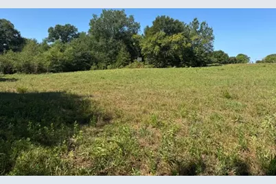 Tbd County Rd. 1300, Emory, TX 75440 - Photo 3