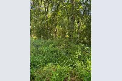 Tbd County Rd. 1300, Emory, TX 75440 - Photo 19