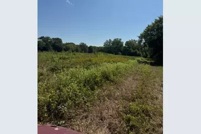 Tbd County Rd. 1300, Emory, TX 75440 - Photo 13