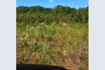Tbd County Rd. 1300, Emory, TX 75440 - Photo 15
