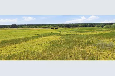 Tbd River Canyon Road, Palo Pinto, TX 76484 - Photo 23