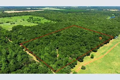 Tbd Cr 3613, Murchison, TX 75758 - Photo 1