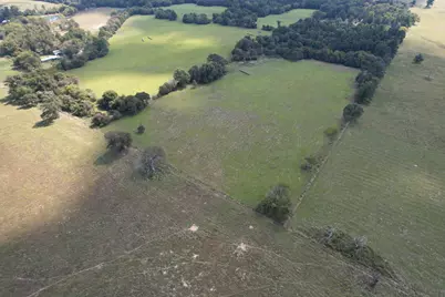 Tbd Cr 435, Frankston, TX 75763 - Photo 3