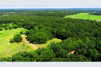 8418 County Road 3613, Murchison, TX 75778 - Photo 23