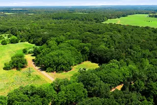 8418 Co Rd 3613, Murchison, TX 75778 - Photo 23