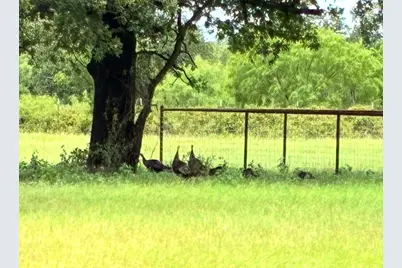 1402 County Road 185, Stephenville, TX 76401 - Photo 31