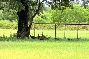 1402 Co Rd 185, Stephenville, TX 76401 - Photo 31