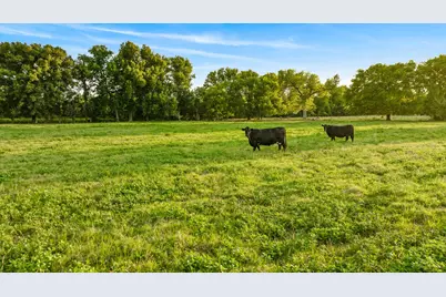 0000 Hwy 24, Paris, TX 75462 - Photo 29