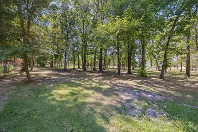 222 Rs County Road 4269, Emory, TX 75440 - Photo 3