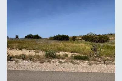 3604 Lucky Pepper Drive, Cresson, TX 76035 - Photo 3