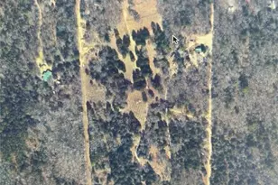 3840 E State Hwy 154, Quitman, TX 75783 - Photo 1