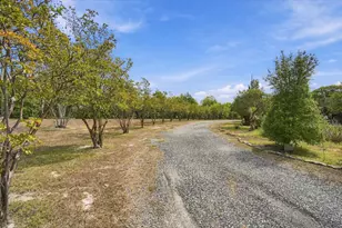 7210 Shiloh Rd, Midlothian, TX 76065 - Photo 5
