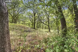 7210 Shiloh Rd, Midlothian, TX 76065 - Photo 35
