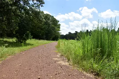 961 County Road 484, Palestine, TX 75803 - Photo 5