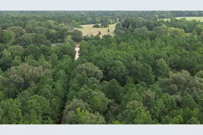 13814 Fm 1716 E, Henderson, TX 75652 - Photo 9