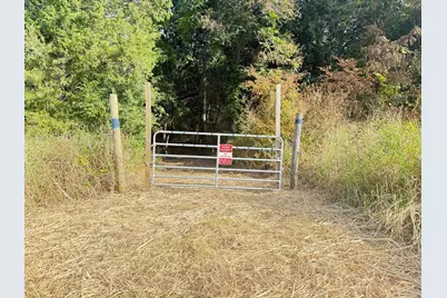 6869 Hwy 24, Klondike, TX 75448 - Photo 5