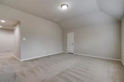 225 Lilypad Bend, Argyle, TX 76226 - Photo 23