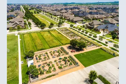 225 Lilypad Bend, Argyle, TX 76226 - Photo 35