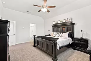 11217 Shady Mdws Wy, Aubrey, TX 76227 - Photo 17