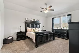 11217 Shady Mdws Wy, Aubrey, TX 76227 - Photo 17