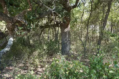Tract 2 NE County Road 1030, Rice, TX 75155 - Photo 7