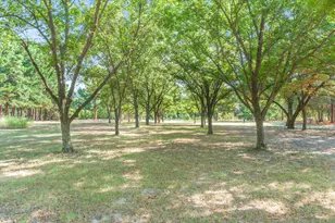 540 Vz County Road 3207, Edgewood, TX 75117 - Photo 39