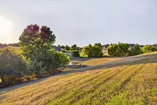 12408 Bella Vineyard Dr, Fort Worth, TX 76126 - Photo 35