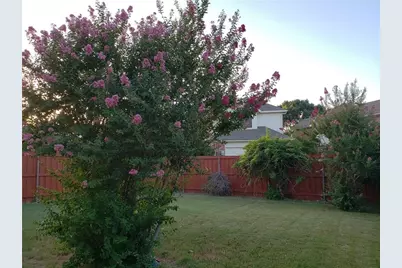 3633 Bonita Drive, Plano, TX 75025 - Photo 13