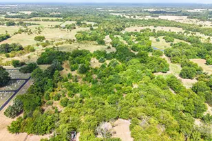 0000 Gladys, Lone Oak, TX 75135 - Photo 1