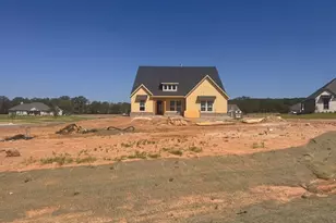 601 Tay Tay Wy, Springtown, TX 76082 - Photo 3