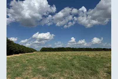 Tract 8, 13.103 Acres County Rd 3700, Leonard, TX 75452 - Photo 13