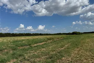 Tract 8 13 103 Acres County Rd 3700, Leonard, TX 75452 - Photo 1