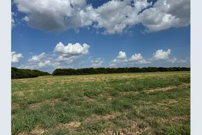 Tract 8, 13.103 Acres County Rd 3700, Leonard, TX 75452 - Photo 15