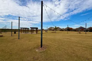 11008 Summer Rain Blvd, Aubrey, TX 76227 - Photo 31