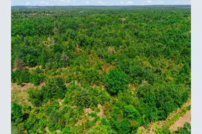 Tbd Cr 3854 4.542 Acres, Hawkins, TX 75765 - Photo 7