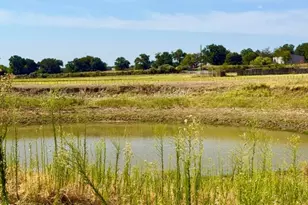 1108 Co Rd 4360, Decatur, TX 76234 - Photo 17