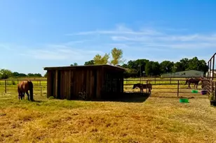 1108 Co Rd 4360, Decatur, TX 76234 - Photo 13
