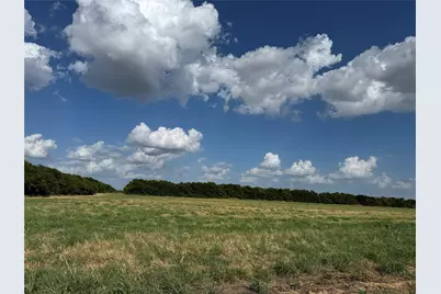 Tract 10, 23.568 Acres County Rd 3700, Leonard, TX 75452 - Photo 19
