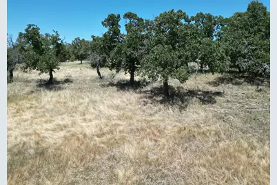 1019 Stagecoach Trail, Gordon, TX 76453 - Photo 11