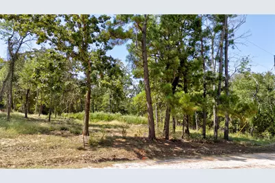 Tbd Josh Circle, Malakoff, TX 75148 - Photo 3