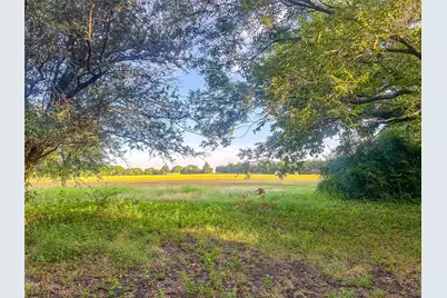 5201 Windmill Lane, Celina, TX 75009 - Photo 19