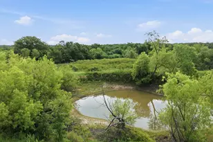 5019 Fm 2123, Paradise, TX 76073 - Photo 7