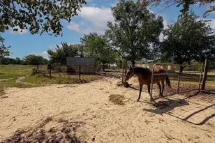 32951 FM 47, Mabank, TX 75147 - Photo 3