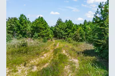Tbd US Hwy 259 N, Ore City, TX 75683 - Photo 21