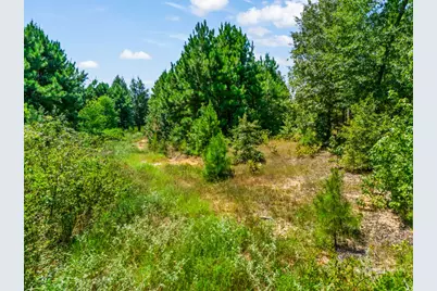 Tbd US Hwy 259 N, Ore City, TX 75683 - Photo 19