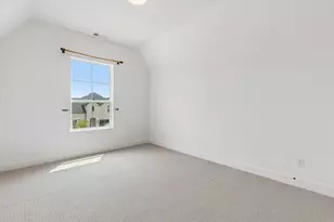 3921 Linear, Celina, TX 75078 - Photo 29